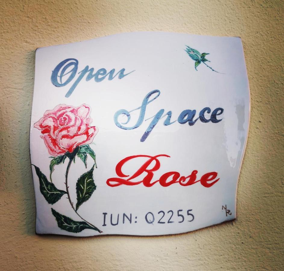 Open Space Rose Иглесиас Экстерьер фото